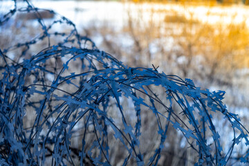 Close-up of blue-painted razor wire coils with sharp barbs, set against a blurred winter backdrop...
