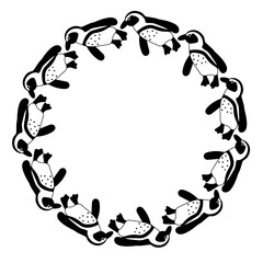 ケープペンギンのフレーム