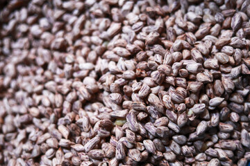 Close up background of tiger striped peanut legume raw organic food full of protein. healthy snack harvest with brown pattern nut texture for feeling of natural abundance