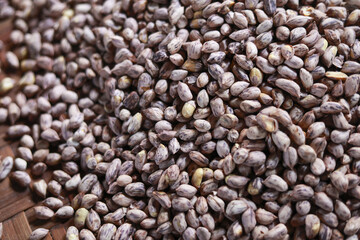 Macro view of tiger striped peanut groundnut seed pile. healthy, natural food and organic ingredient full of wholesome nutrition, great for plant based diet background