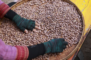 Worker hand diligently sorting raw tiger striped peanuts in large woven basket. focused scene of natural food agriculture and traditional working methods