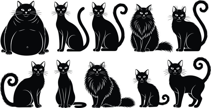 Set of black cat silhouettes in various poses and breeds, including fat, fluffy, and sleek domestic felines, perfect for pet design graphics.