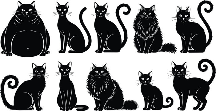 Set of black cat silhouettes in various poses and breeds, including fat, fluffy, and sleek domestic felines, perfect for pet design graphics.