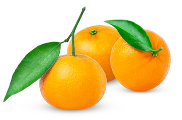Organic tangerine or clementine with green leaf isolated. Mandarins with green leaves.