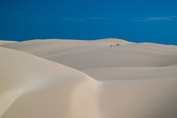 Viana Desert in Boa Vista: golden dunes under a blue sky