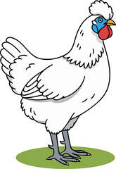 White Silkie Chicken Fluffy - Animal Character Illustration Isolated on Transparent Background