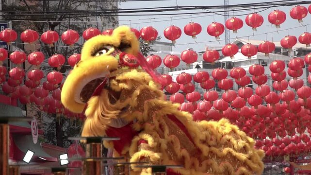 Chinese lion dance performing, Slow motion.