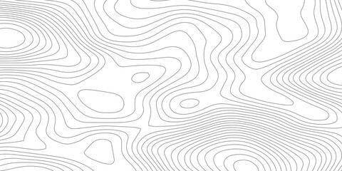 Minimal abstract topographic contour line pattern in soft gray tones, featuring seamless organic elevation curves inspired by maps, ideal as a modern monochrome background for branding and design © Hasan