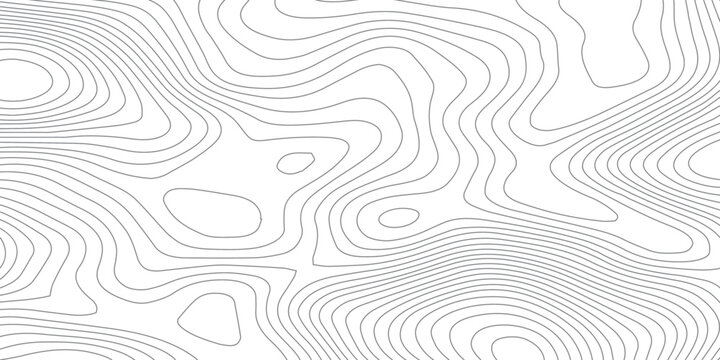 Minimal abstract topographic contour line pattern in soft gray tones, featuring seamless organic elevation curves inspired by maps, ideal as a modern monochrome background for branding and design