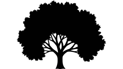 Silhouette of a large tree with detailed branches representing nature and growth isolated on a white