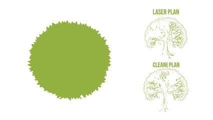 Green tree silhouette and detailed plans vector illustration for landscape design and architecture