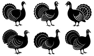 Obraz premium Six Black and White Turkey Silhouettes on White Background bird