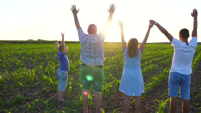 Mommy and daddy with two sons standing on corn field and raising hands at sunset. Happy young family enjoy to spending time together at nature at summer day. Concept of carefree and freedom. Slow mo