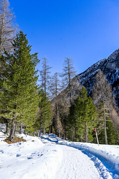 Bever, Val Bever, Winterwanderweg, Winterlandschaft, Wintersport, Holzbank, Oberengadin, Beverin, Fluss, Langlauf, Langlaufloipe, Alpen, Arvenwald, Winter, Graub&uuml;nden, Schweiz