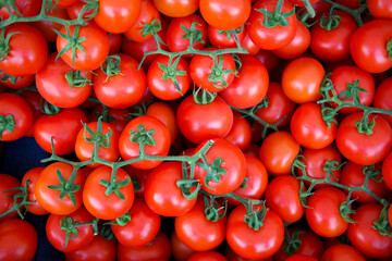 A top shot of a pile of tomatoes sold in a Turkish market.