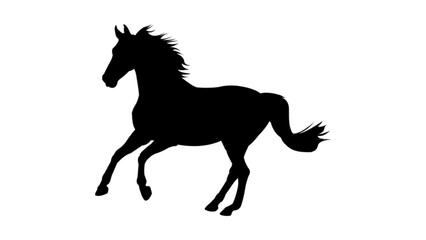 black horse vector illustration