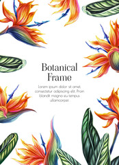 Illustration of strelitzia. Frame with an exotic plant  bird-of-paradise. Botanical wedding invitation template. Floral decoration for a card	