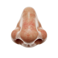 Human Nose with Transparent Background