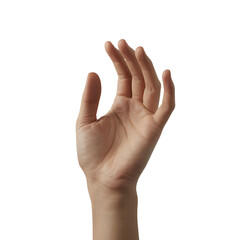 Human Hand with Transparent Background