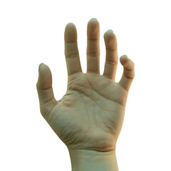 Human Hand With Yellow Markings with Transparent Background