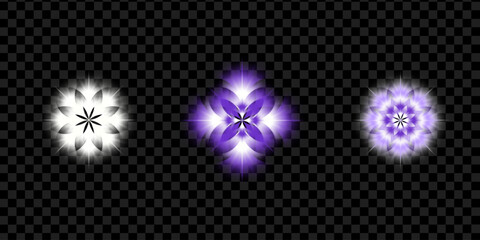Vector illustration of beautiful abstract stars, flowers and snowflakes isolated on transparent background.