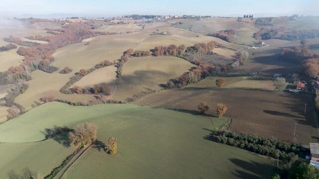 Aerial view of sun-kissed rolling hills, with fields of green and brown, dotted with trees displaying autumn colors, Morcella, Umbria, Italy.