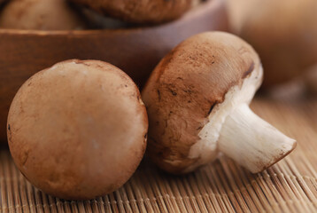 Brown button mushroom
