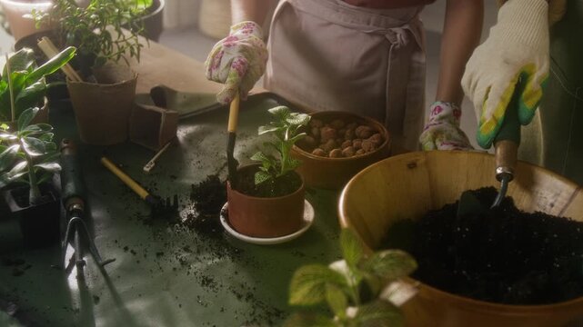 Zoom in shot of anonymous kid adding soil into pot with houseplant while gardening together with woman on home table