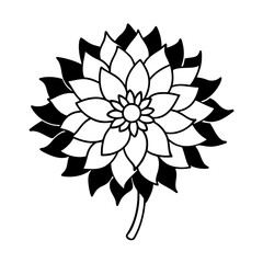 Fototapeta premium Vector Clip Art Dahlia on White Background for Web and Graphic Design