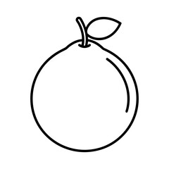 Vector Clip Art Guava with Black Outline for Web and Graphic Design