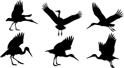 Obraz premium Stork silhouette, Stork vector silhouette, Flying stork silhouette, Stork, Stork silhouette clip art