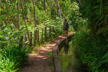 Levada walk in laurel forest near Prazeres, Madeira | Spacer lewadą w lesie laurowym w pobliżu Prazeres, Madera