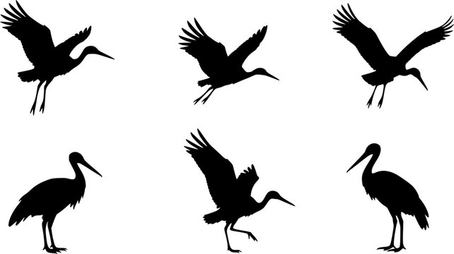 Stork silhouette, Stork vector silhouette, Flying stork silhouette, Stork, Stork silhouette clip art