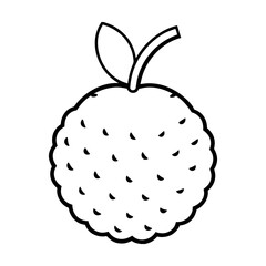 vector clip art lychee with black outline on white background for web and graphic design