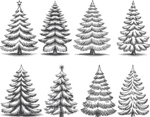 A black and white illustration of seven snow covered pine trees in two rows on a white background with varying shapes and sizes