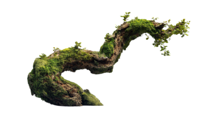 3D render of curved mossy tree limb with rough texture and greenery, composition isolated on a Transparent background, PNG file.