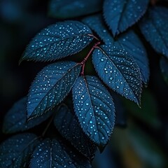 Close-Up of Water Droplets on Dark Green Leaves in Soft Light