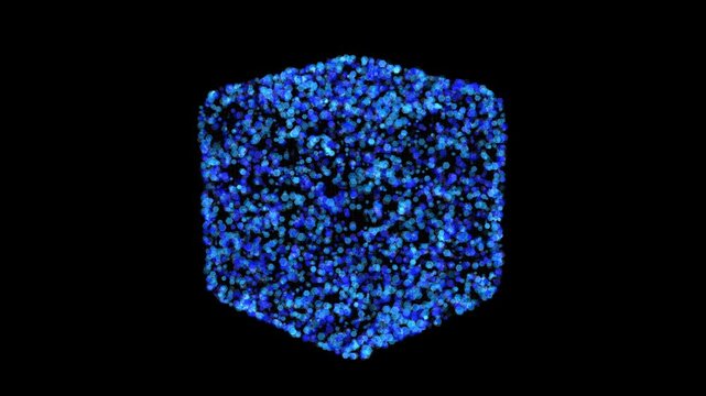 High-density glowing blue particle cube animation on dark background
