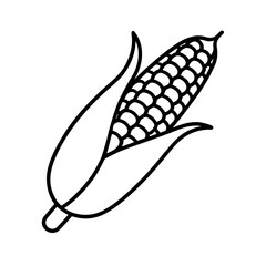 vector clip art roasted corn on white background for web and graphic design