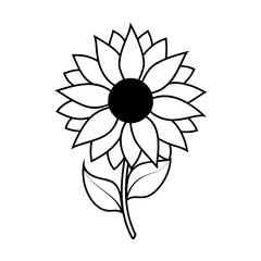 vector clip art sunflower on white background for web and graphic design