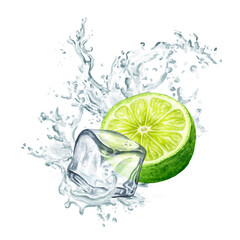 Fresh citrus Lime, Ice cubes and splash of crystal water. Hand painted watercolor illustration, isolated on white background