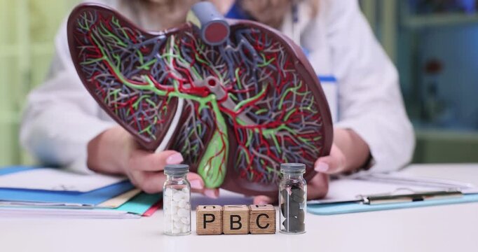 Woman doctor explains pathology of liver using anatomical model at lesson. Wooden blocks arranged into abbreviation PBC lie on table near remedy