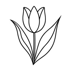 vector clip art tulip on white background for web and graphic design