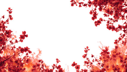 fire floral border background fire floral orange and red 