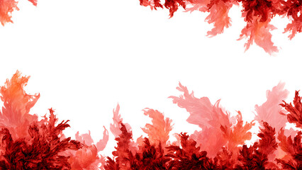fire floral border background fire floral orange and red 