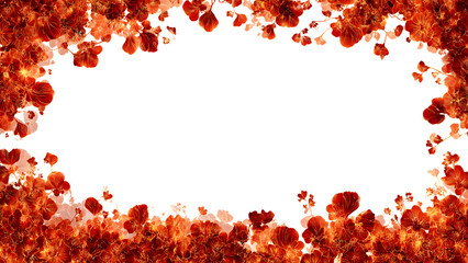 fire floral border background fire floral orange and red 