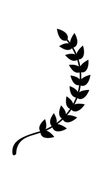 Laurel wreath branch icon animation video