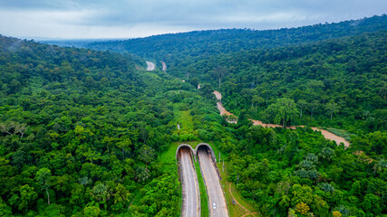 The tunnel for vehicles through the forest was built to connect the forest areas, allowing wildlife to cross back and forth.