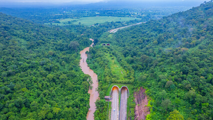 The tunnel for vehicles through the forest was built to connect the forest areas, allowing wildlife to cross back and forth.