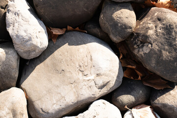 Background of huge pebble stones with brown leaves.